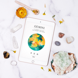 Gemini Season + New Moon Workbook - Digital