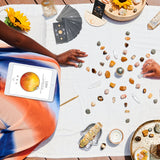 Leo Season + New Moon Workbook - Digital