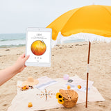 Leo Season + New Moon Workbook - Digital
