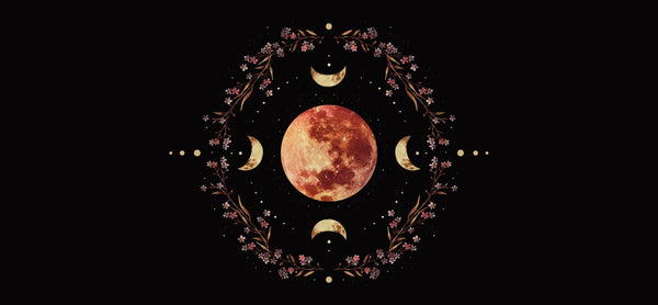 Eclipse Season: Your 6 Month Launchpad to Rapid Manifestation