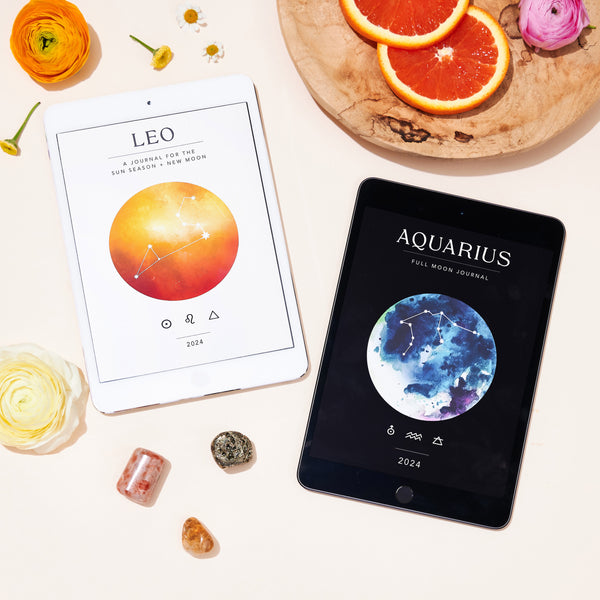 Leo Season + Aquarius Full Moon Workbook Bundle - Digital – Spirit 