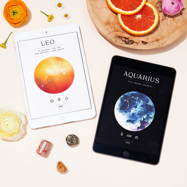 Leo Season + Aquarius Full Moon Workbook Bundle - Digital