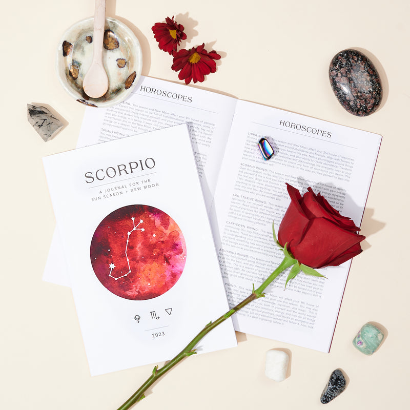 Scorpio Season + New Moon Workbook (Printed)