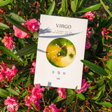 Virgo Season + New Moon Workbook - Printed